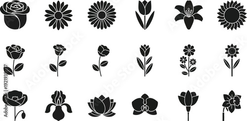 set of flowers vector