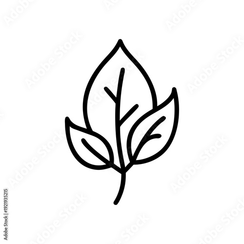 Green leaf icon vector illustration of a plant symbol representing nature and eco friendly organic design elements for a sustainable environment logo concept