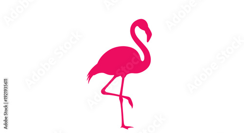 Pink Flamingo Bird Standing Alone.