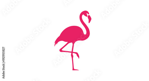 Pink Flamingo Bird Standing Alone.