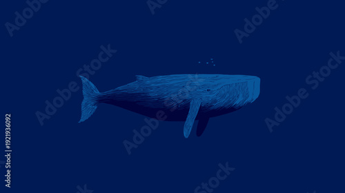 Stylized illustration of a whale, rendered in shades of blue, in a serene ocean background