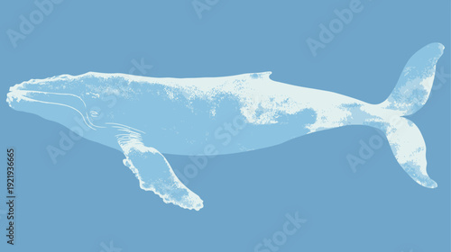 Simplified illustration of a whale in a light blue hue against a matching sky background