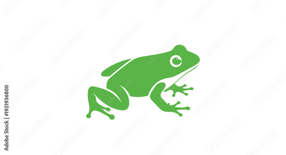 Fototapeta premium Green Frog Amphibian Animal Illustration.