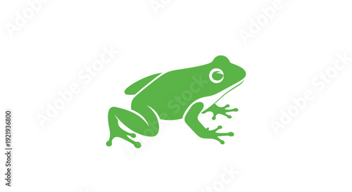 Green Frog Amphibian Animal Illustration.
