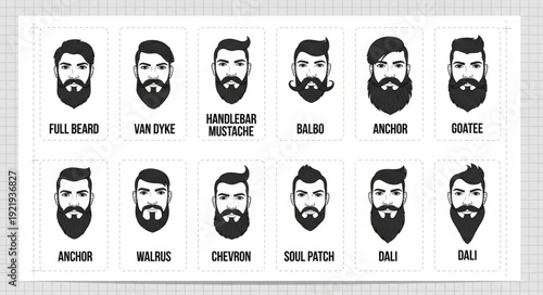 Collection of different beard styles for men illustration.