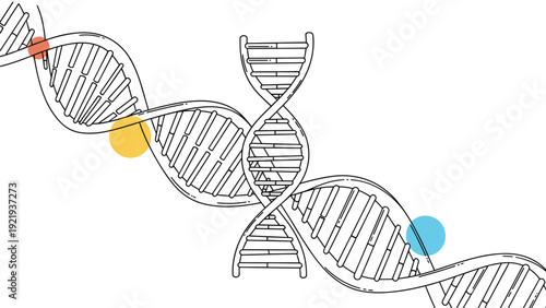 Two intertwined DNA double helix strands with colored spots represent genetic information and expert biological research.