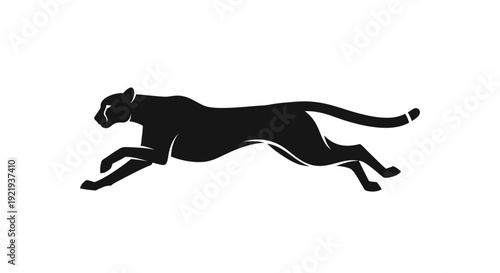 Black panther running fast sideways.