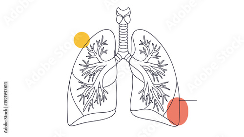 Human lungs anatomy line drawing with yellow and red spots for medical diagnosis, respiratory health, and smoking awareness concepts.