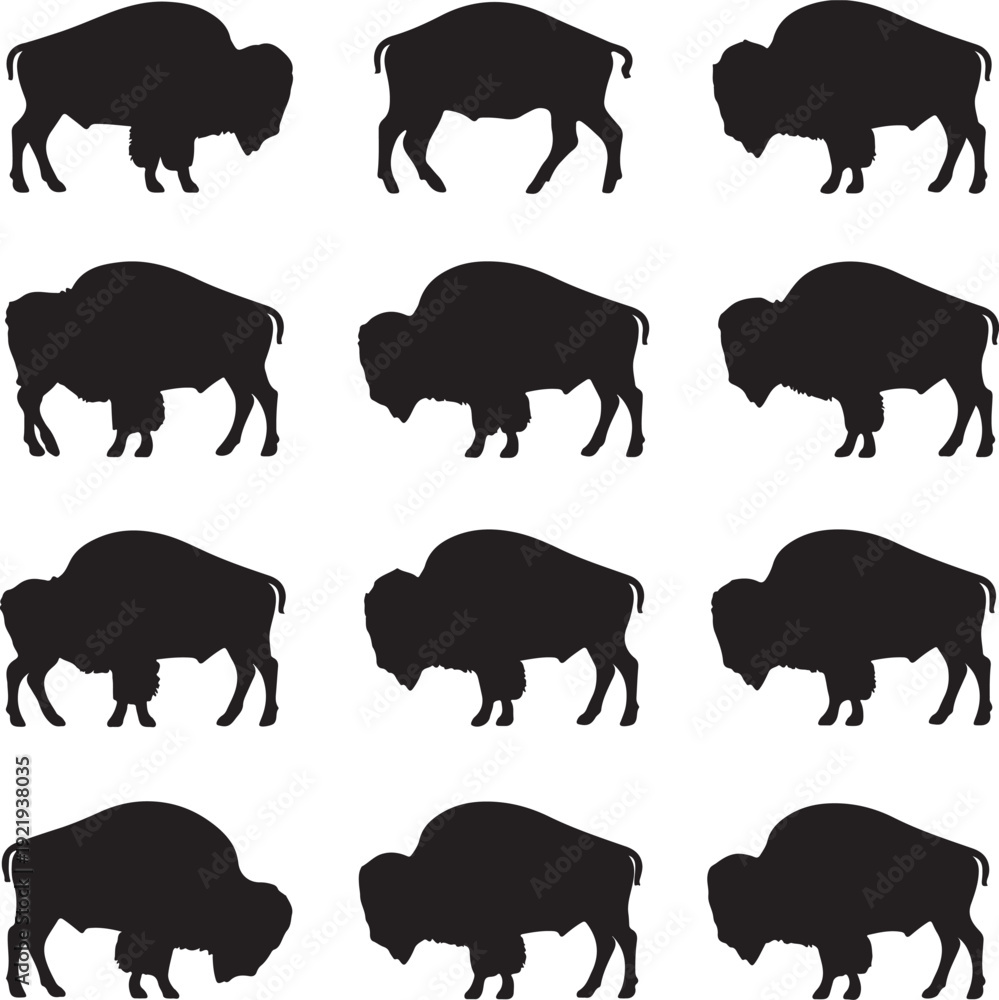 Fototapeta premium set of bison silhouettes