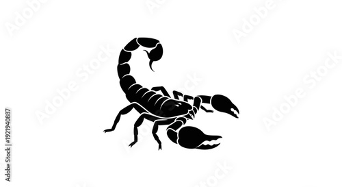 Black scorpion silhouette insect animal.
