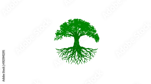 A green tree illustration on a white background, showing trunk, foliage, and roots