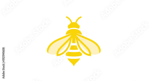 Yellow Bee Insect Closeup View.