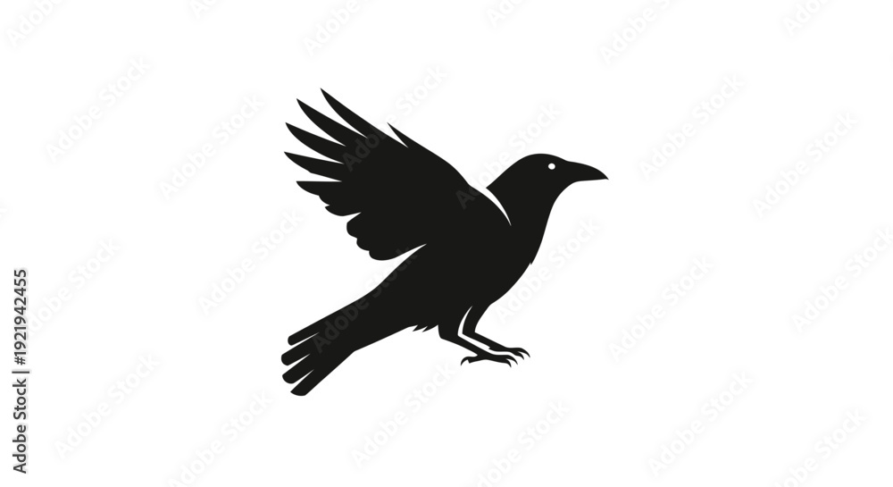 Fototapeta premium Black bird in mid flight motion.
