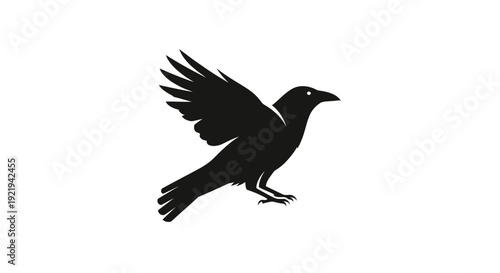Black bird in mid flight motion.