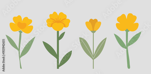 Four yellow flowers with green stems and leaves green leaves