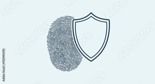 Vector line icon of fingerprint combined with shield outline representing biometric security and protection