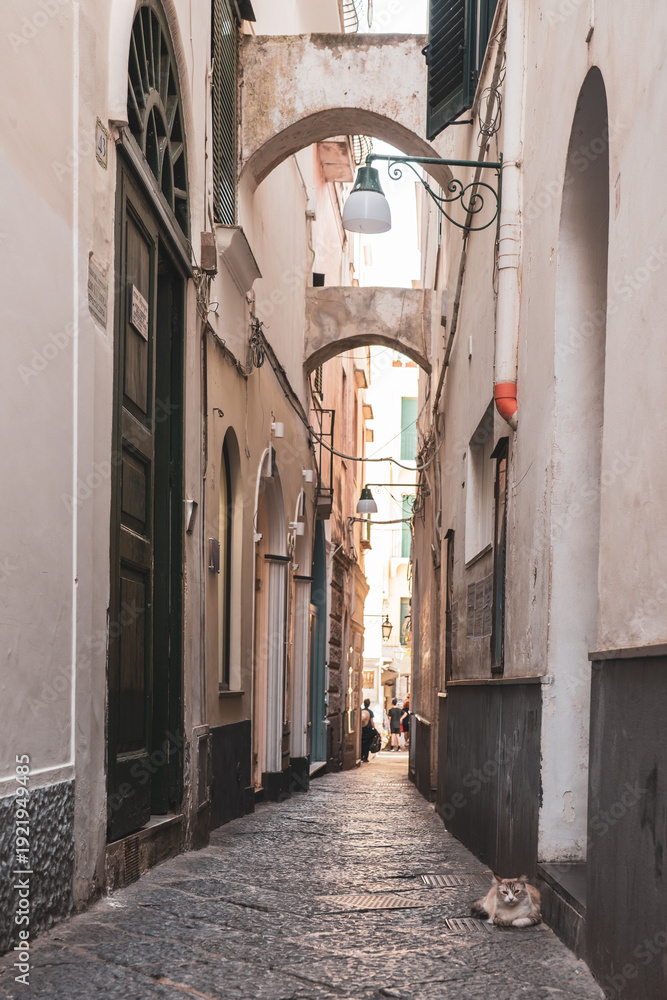 Obraz premium Capri, Italy. Narrow cobblestone alleyway in a Mediterranean town with arched doorways and a cat resting on the ground