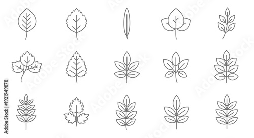 Collection of various leaf illustrations displayed in a grid layout on a plain background viewed from directly above