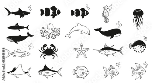 Collection of various black and white ocean creatures in different styles displayed together