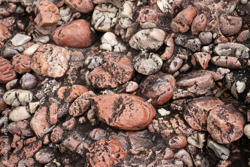 Wallpaper Mural Incredible natural texture of brown rock with little rocks Torontodigital.ca