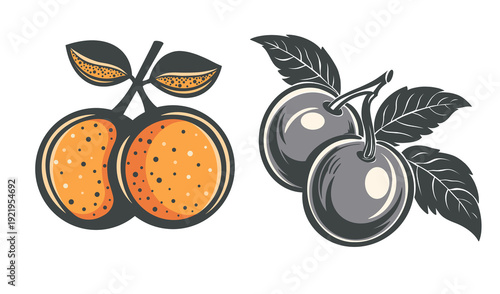 Vintage Fruit Badge Set with Orange and Plum Illustration