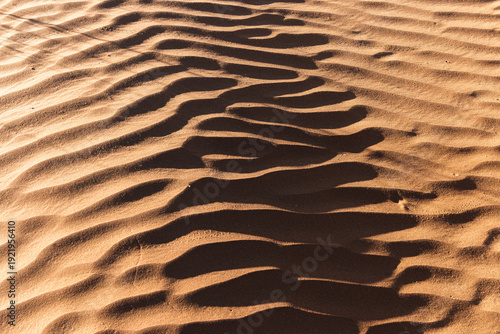 Namibia - Namib Naukluft Park - Sossusvlei - Close up texture of wind ripples on sand dune with sharp shadow lines