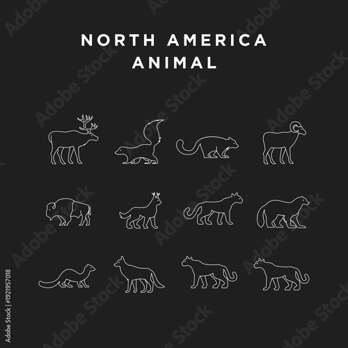 North America Animals - Minimalist White Line Art Wildlife Icons on Black Background