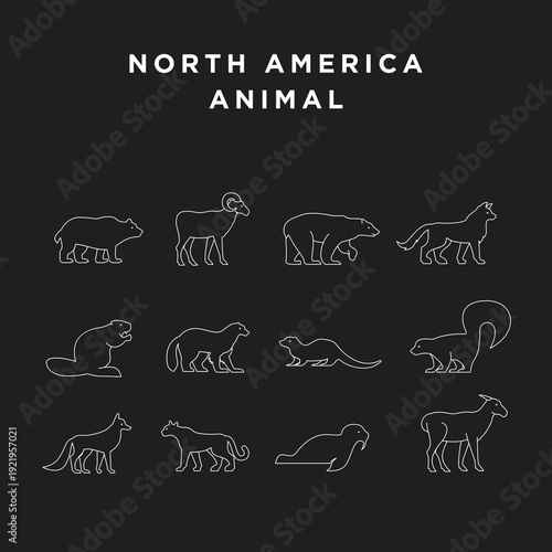 North America Animal Line Icons Set. Vector Collection of North American Wildlife Outline Icons on a Dark Background.