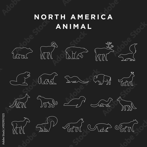 North America Animal Vector Line Icons Set, Wildlife Outline Collection