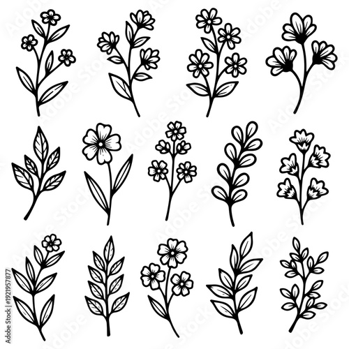 Set of delicate floral illustrations with leaves and stems