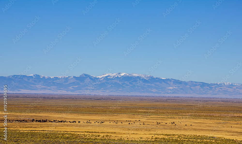Fototapeta premium The park is located at the foot of the Sangre de Cristo Mountains, where unique geological and climatic conditions have allowed a giant dune field to form.