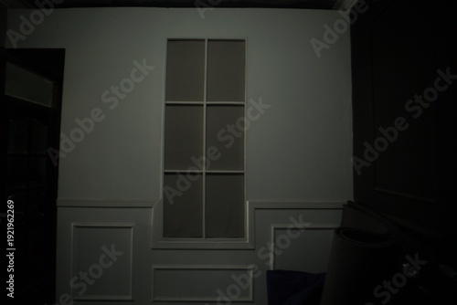 A dark and mysterious room interior featuring a classic framed panel above wainscoting, casting long shadows and creating a somber, reflective atmosphere