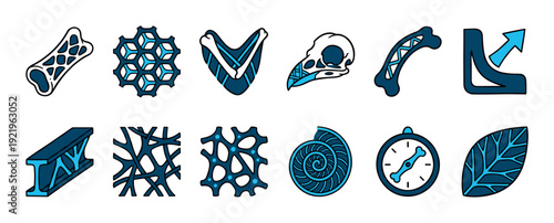 Set of twelve bio-inspired design icons showing natural and engineered structures like bones, skulls, shells, and lattices for biomimicry and scientific illustration