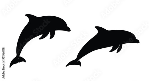 Two leaping dolphins captured in a striking black silhouette