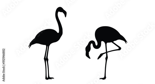 Two elegant flamingos stand gracefully in a minimalist silhouette