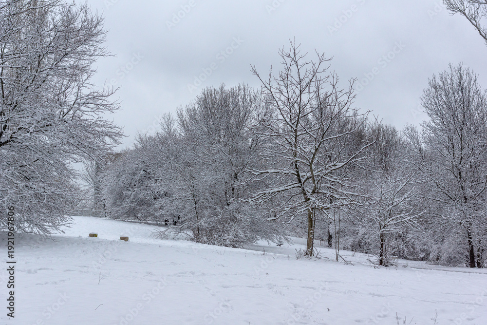 Obraz premium Winter Landscape of South Park in city of Sofia, Bulgaria