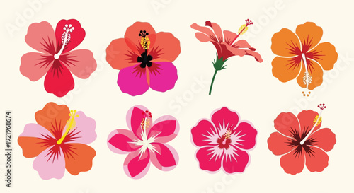 Vibrant Hibiscus Flowers Arranged in a Grid Pattern on a Neutral Background from a Direct Overhead Viewpoint