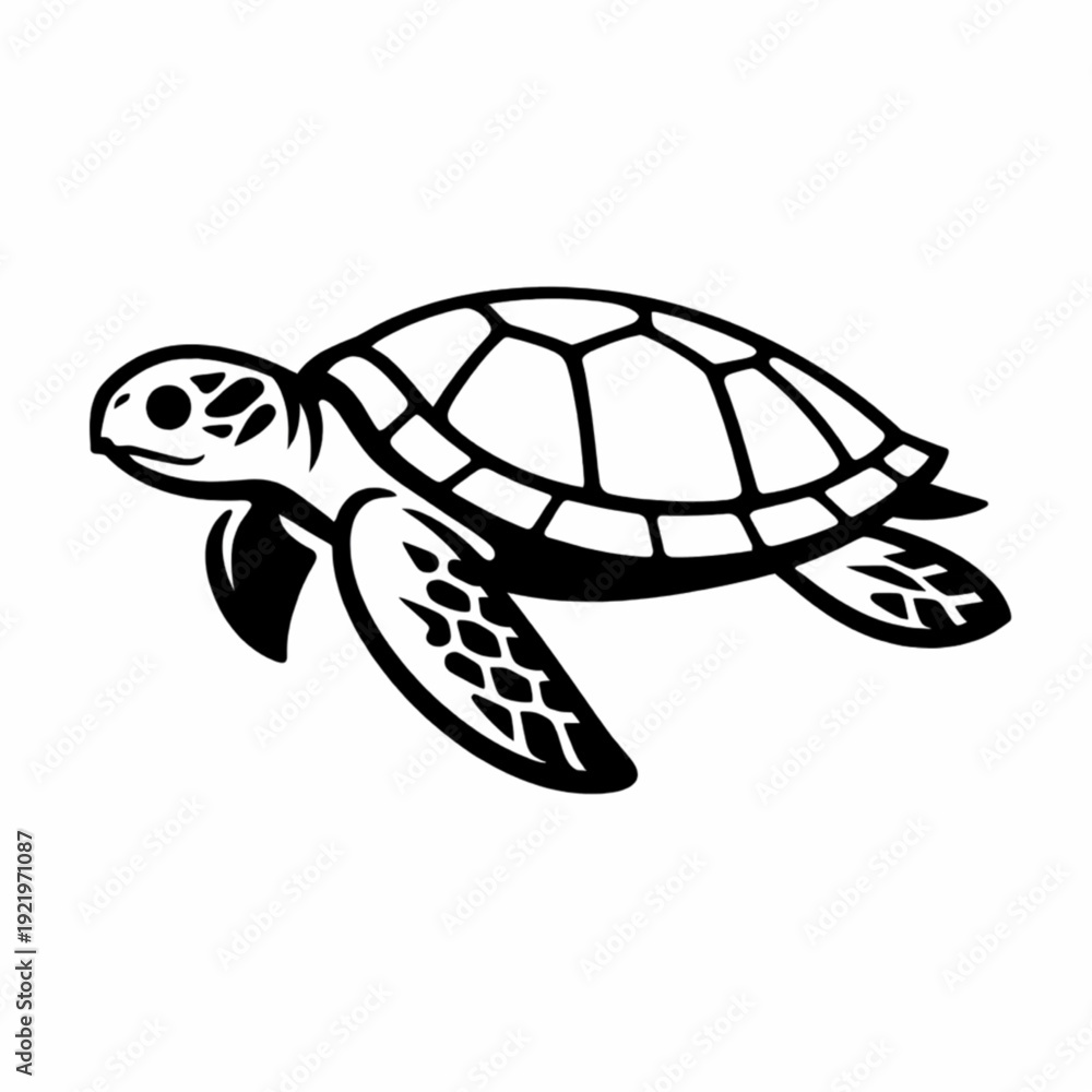Fototapeta premium Sea turtle swimming pose detailed outline marine animal illustration