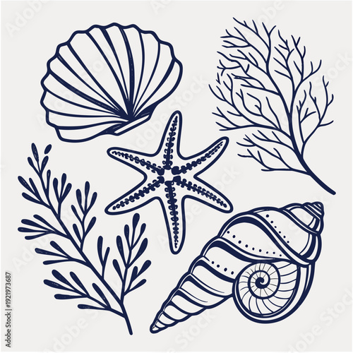 Hand drawn nautical collection of scallop shell, starfish, conch shell, and seaweed in blue line art for ocean themed projects