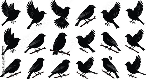 Blackbird silhouette collection featuring flying and perched songbirds isolated on white background for wildlife vector illustration, logo design and branding