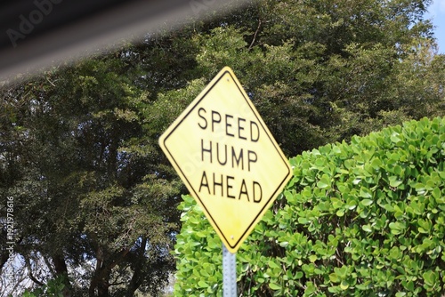 Vászonkép Speed hump sign