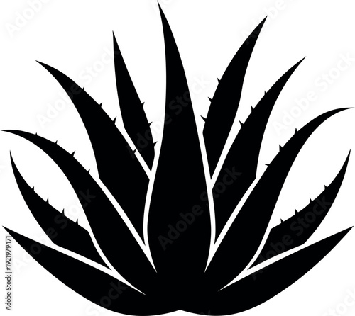Aloe Vera Succulent Silhouette Botanical Plant Illustration