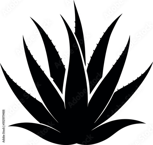 Aloe Vera Succulent Silhouette Botanical Plant Illustration