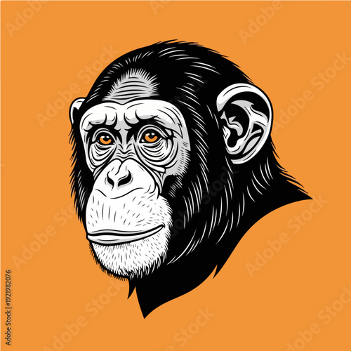 Chimpanzee Portrait - A Detailed Illustration on Orange Background.