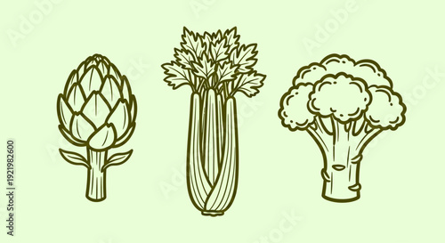 Illustration of artichoke, fennel, and broccoli displayed together from a front view