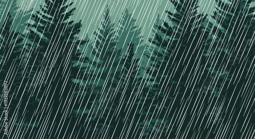 Rainy day in a pine forest