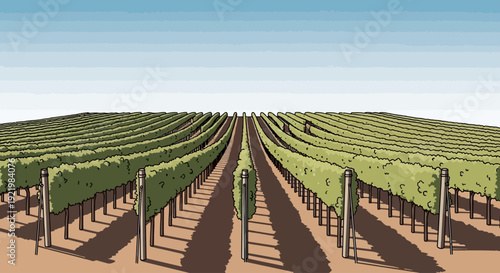 Rows of grapevines stretch across a vineyard landscape.