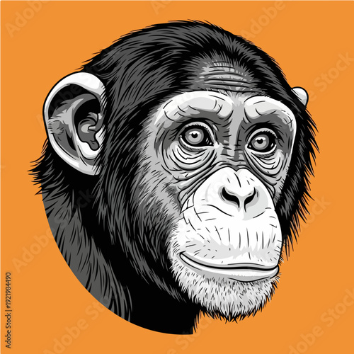 Detailed portrait of a chimpanzee with a focused gaze and expression.