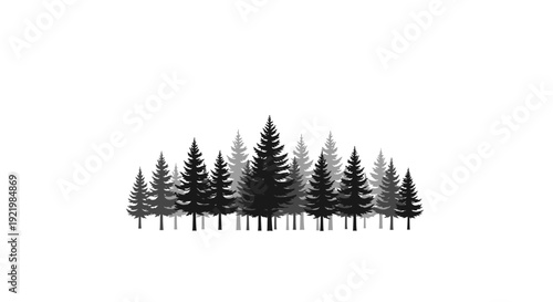 Minimalist pine forest silhouette vector illustration on white background