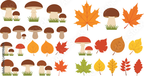 Set of autumn forest elements with colorful fallen leaves and brown mushrooms in green grass isolated on white background for fall season nature design.